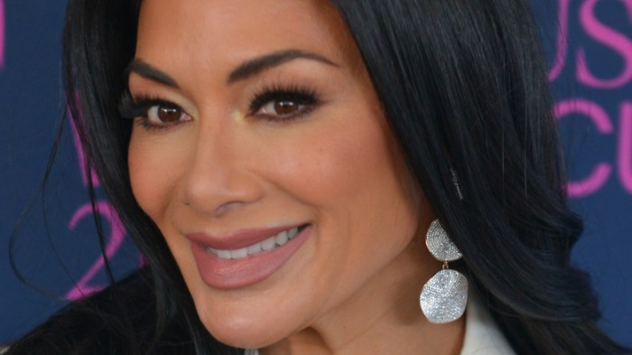 Nicole Scherzinger’s  Million Home Has Sweeping Views From Downtown L.A. to the Pacific