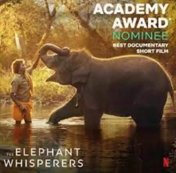 Byers author claims gold medal in international competition for “There’s an Elephant in the Bathroom”
