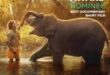 Byers author claims gold medal in international competition for “There’s an Elephant in the Bathroom”