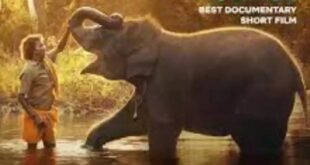 Byers author claims gold medal in international competition for “There’s an Elephant in the Bathroom”