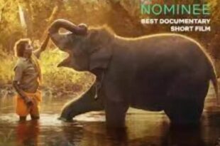 Byers author claims gold medal in international competition for “There’s an Elephant in the Bathroom”