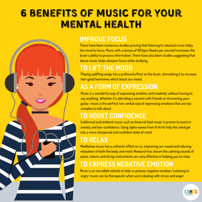'Bipolar pop' helps fans with mental health