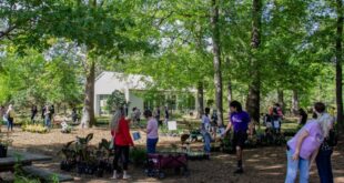 SFA Gardens to host annual Fall plant sale
