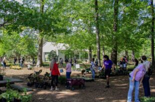 SFA Gardens to host annual Fall plant sale