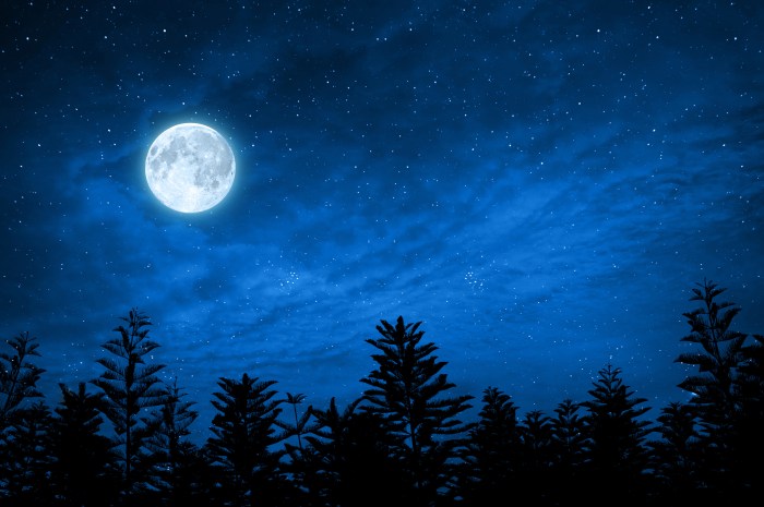 Fire, water and full moon: Photos of the week