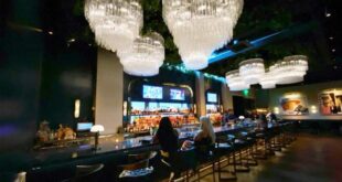 An Elevated Dining Experience at Harlo Steakhouse & Bar