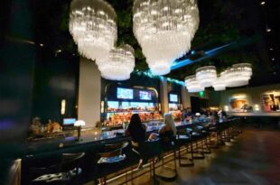 An Elevated Dining Experience at Harlo Steakhouse & Bar