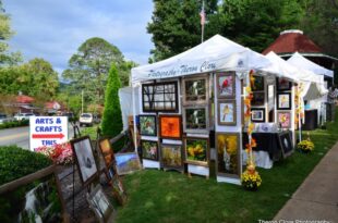 1st and 10 Game of the Week: Hollister vs. Fair Grove